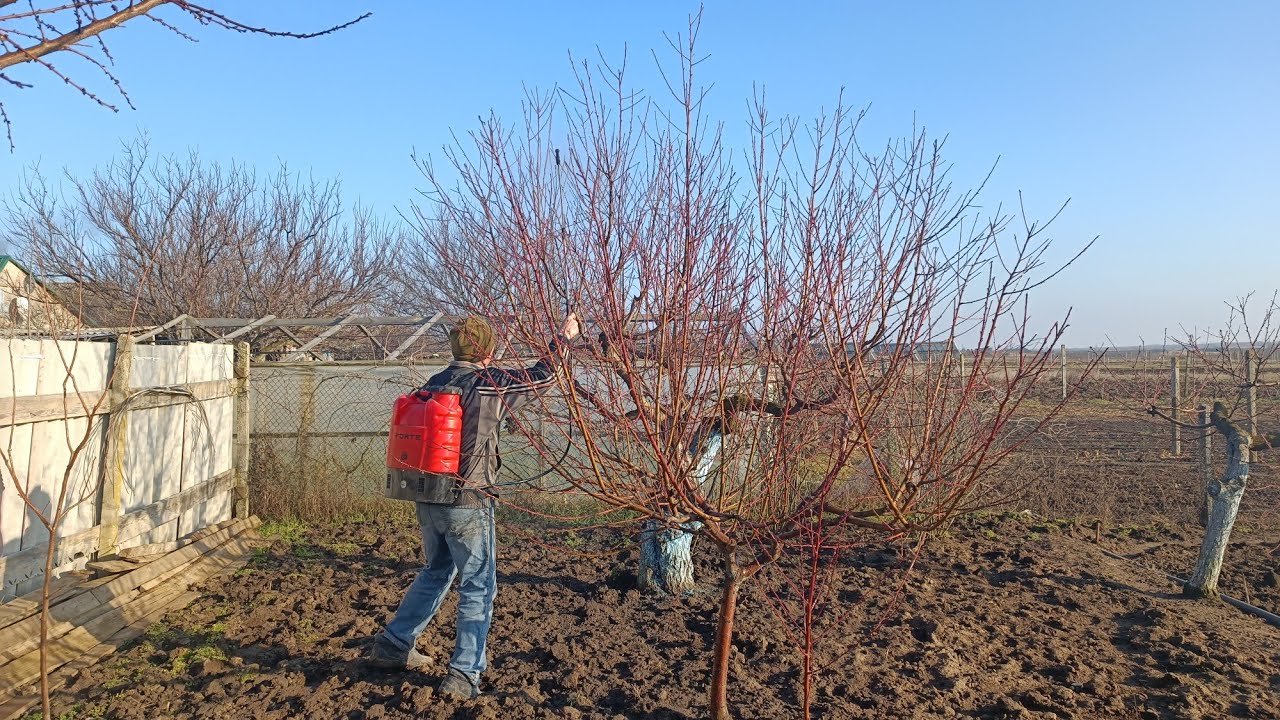 НЕ ЗАПІЗНІТЬСЯ!!!.ПЕРША  ВЕСНЯНА ОБРОБКА ДЕРЕВ ТА КУЩІВ.