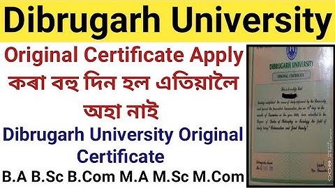 Original Certificate Apply কৰা বহু দিন হল এতিয়ালৈ অহা নাই|Dibrugarh University Original Certificate