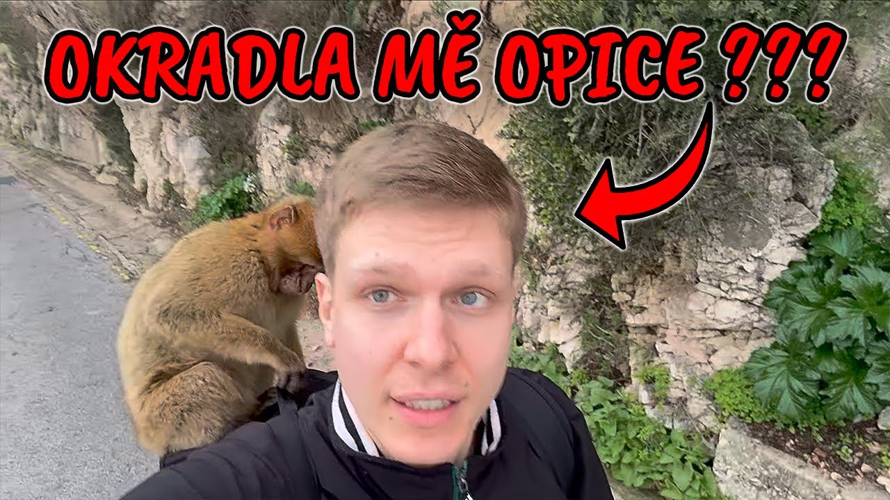 PROČ JET V PROSINCI DO ŠPANĚLSKA?