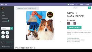 Cómo Crear Productos en el E-Commerce de Odoo 14