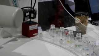 Famous Smarty Sorting Robot Net Worth
