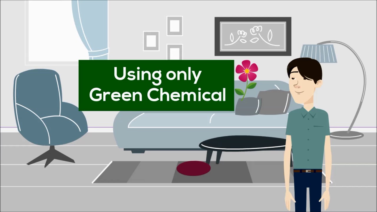 Carpet Cleaning in Boston Call Now (617) 8610078 And Clean Your