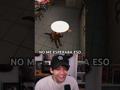 PERRO MOMENTO FIRULAIS