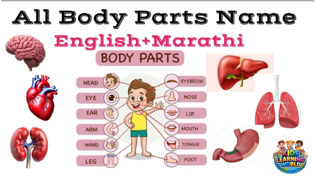 All Body Parts Name | English + Marathi Learning Video for Kids 🌈