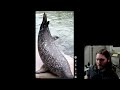 End of video