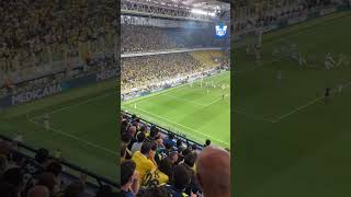 Fenerbahçe - Feyenoord Archie Brown Ü Tribün Çekim