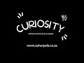 Curiosity  african curio shop at zulu nyala heritage safari lodge kwazulu natal