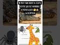 WWF ME RETA CON ESTE QUIZ SOBRE ANIMALES 🤔🫵🏼 ¡ACEPTO!