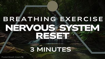 Nervous System Reset Breathwork