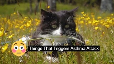 How To Prevent Asthma Attack | Things To Avoid In Asthma Attack |