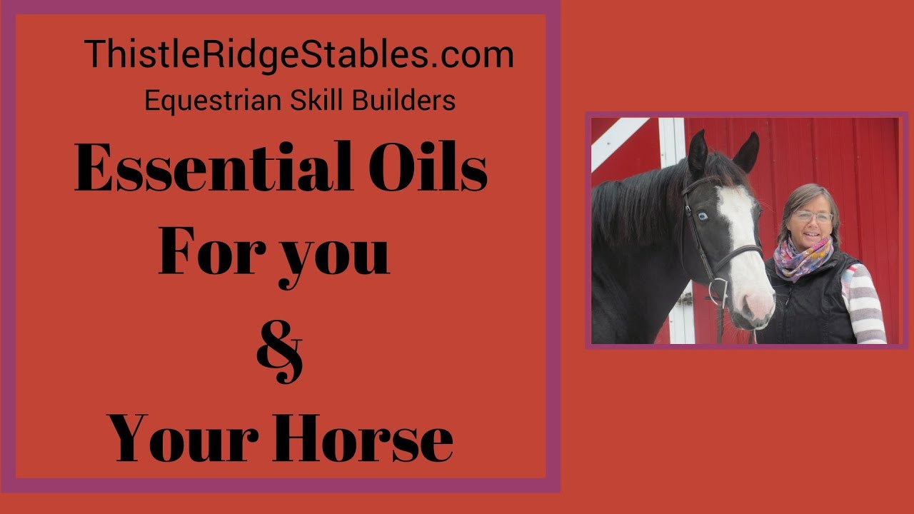 Essential Oils 101 - 5 Easy Ways to Use Essential Oils in Your Life and ...
