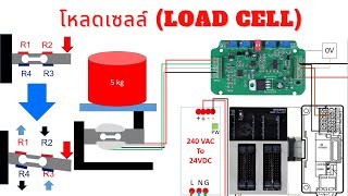 หลักการทำงาน Load cell และการใช้งานเบื้องต้น