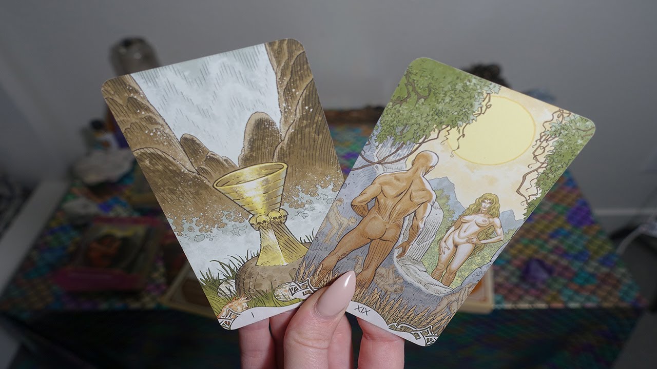 CAPRICORN: We've Met For A Reason.. Mid January General Love Reading