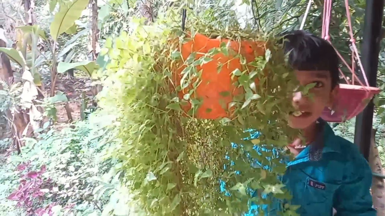 പുഷപവാടിയിലെ വിശേഷങ്ങളുമായി ആർഷ് മാരിയിൽ  I Poove Poove Palappove Cover Song I Aarsh Arya Navas