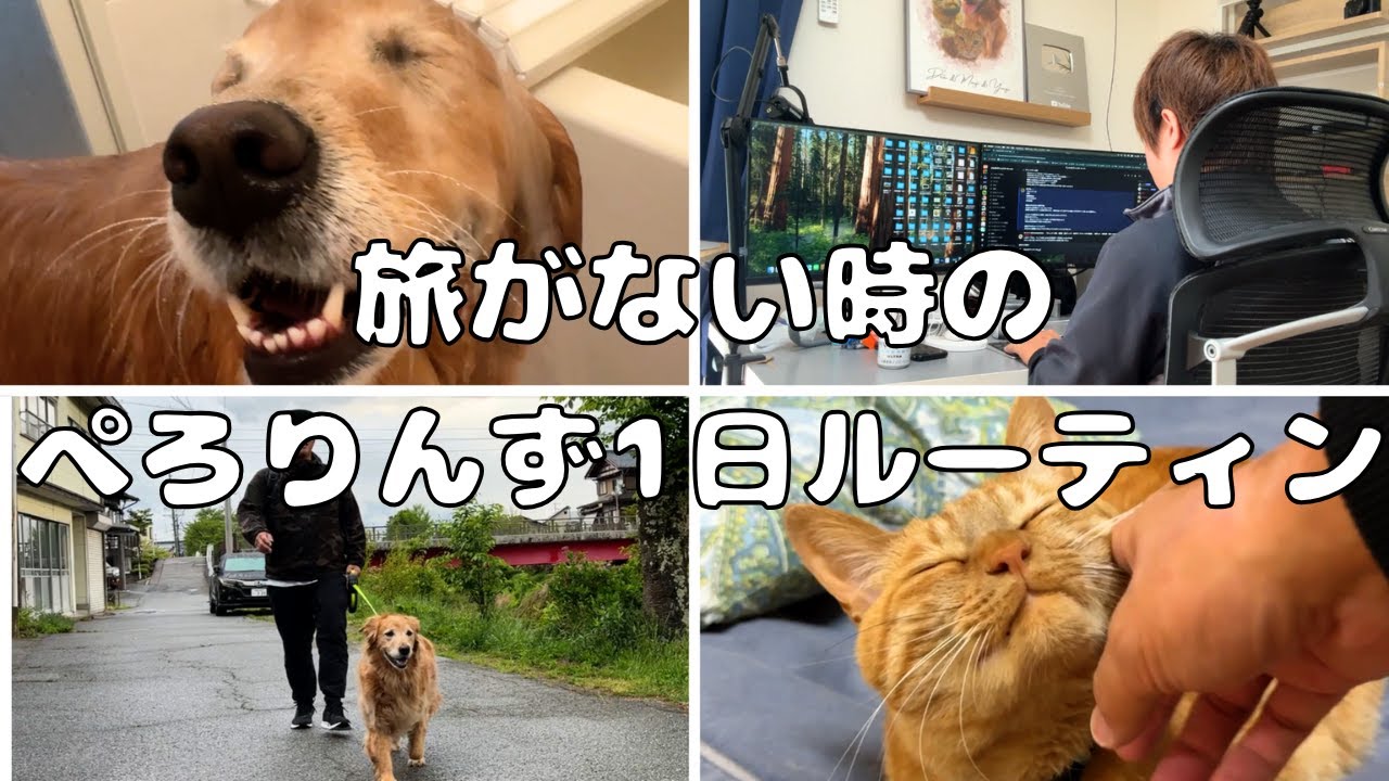 旅がない時のぺろりんずの1日