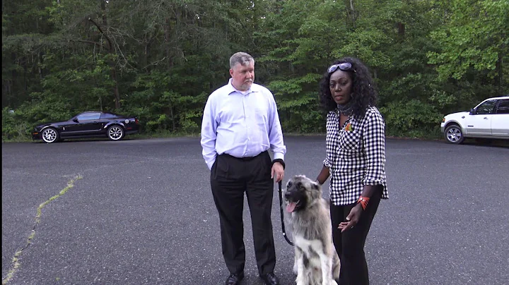 Deb Fulk Therapy Dog Series