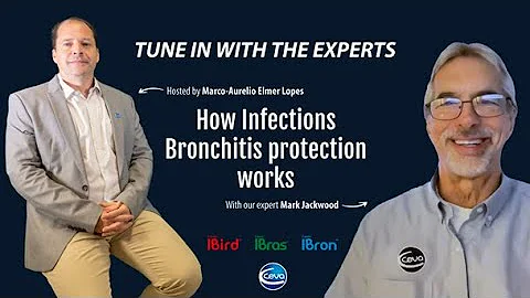 Mark Jackwood - How Infectious Bronchitis protection works