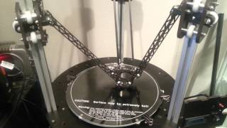 Rostock Max First Motion