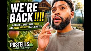 WE ARE BACK | NEW HOUSE PROJECTS HAVE BEGUN + OUR FRUIT TREES HAVE FRUIT !!
