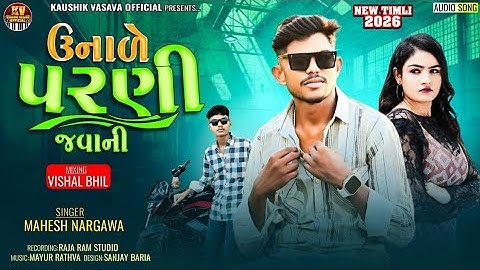 Mahesh Nargava ઉનાળે પરણી જવાની Aadiwsi Dhamaka New Timli Special 2026 