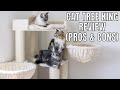 Cat Tree King Review (Pros & Cons)