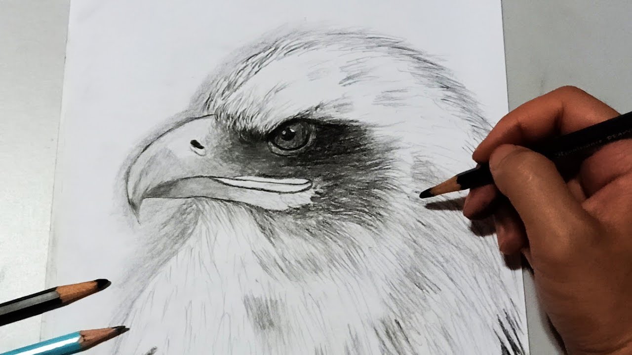 Drawing an eagle head วาดภาพ นกอินทรีย์ โคตรง่าย - YouTube