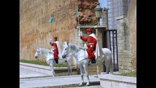 The Royal Guard of Mohammed V Mausoleum Rabat-Morocco