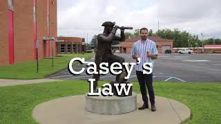 Casey's Law - A Brief Introduction