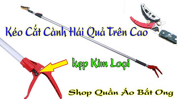 Kéo Cắt Cành Trên Cao 3m, Kéo Hái Hoa Quả Trên Cao