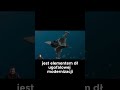Szwecja Wprowadza Gripen E – Nowoczesny Samolot wielozadaniowy #lotnictwo #military#army #wojna