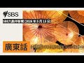 SBS九點半新聞 (2026 年 5 月 15 日) | SBS Cantonese - SBS廣東話節目