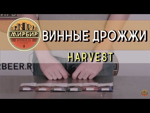 Дрожжи Кодзи. Спиртовые дрожжи. Дрожжи Кодзи. Спиртовые дрожжи.