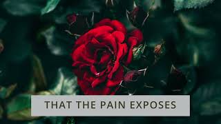 Andrew Ripp - Roses (Single Version) - Lyric Video by InBeautifulChaos