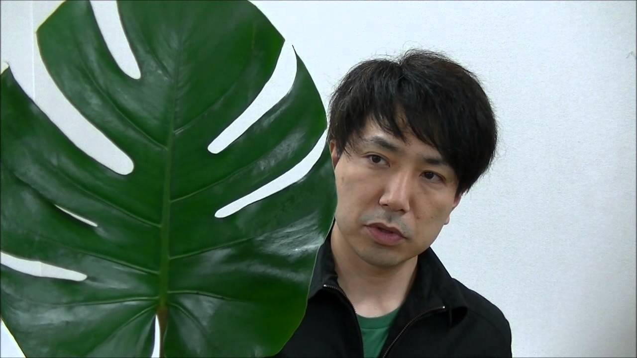 モンスターと呼ばれてきた葉物 モンステラの紹介と使い方の紹介 I Introduce A Monstera Youtube