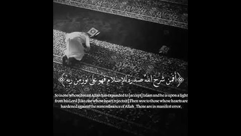 سوره الزمر صوت جميل