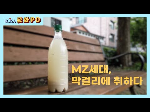 [문화PD] MZ세대,막걸리에 취하다