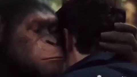 khỉ con tập nói dảk  dảk  bủh  bủh  lmao