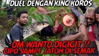 GAK BISA DIEM AJA⁉️ULAR INI ADA DI KEBUN WARGA,PANJI AJAK DUEL OM WANTO JADI KORBAN‼️