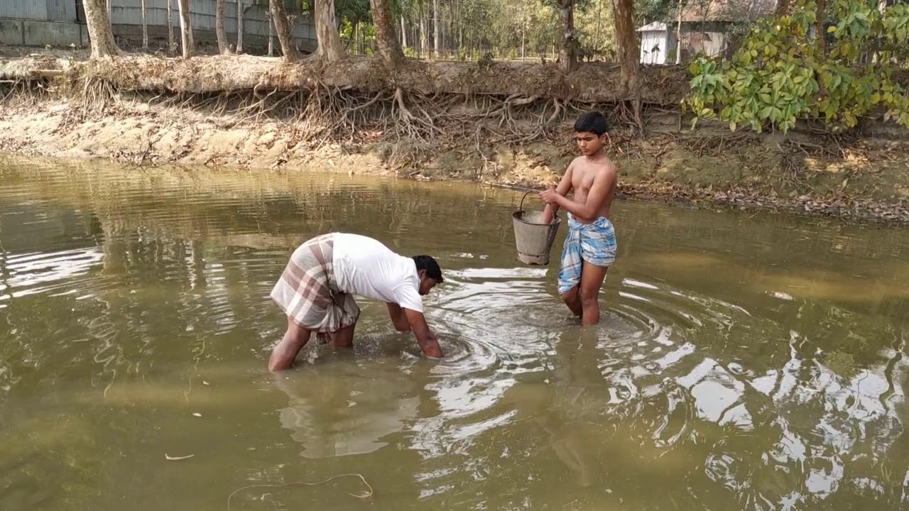 Net Fish Catching VideosNatural Fish Bangla Fishing With River
