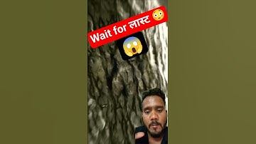 Infinite syringe loop #macro #closeup #micro #microscopy #infinite #loop #transition #looping #art