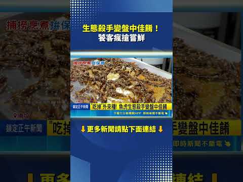 日月潭魚虎氾濫成災！南投推吃掉外來種變身美味料理 饕客瘋搶嘗鮮｜三立新聞網 SETN.com