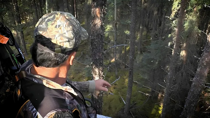 2 Hours of Most Disturbing Camping Encounters Caught on Camera Vol. 13