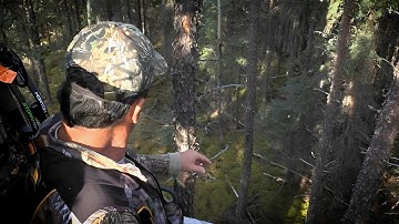 2 Hours of Most Disturbing Camping Encounters Caught on Camera Vol. 13