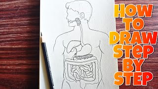how to Draw Human Digestive System, Drawing human digestive system Diagram step-by-step