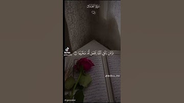 قران كريم #اكسبلور #لايك #اهميه #ترند #voiceeffects #تيك_توك
