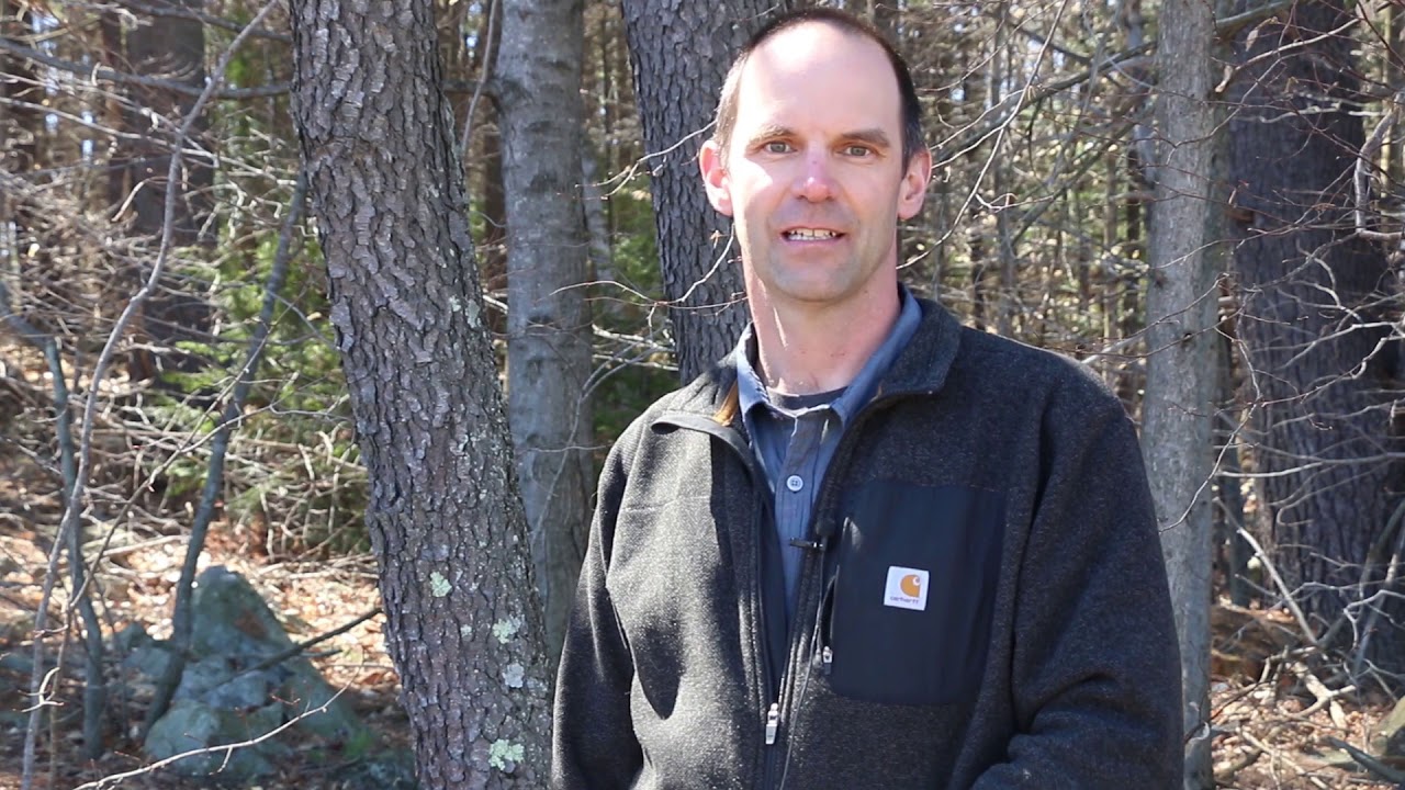 Jim Frohn, Grafton County Forester