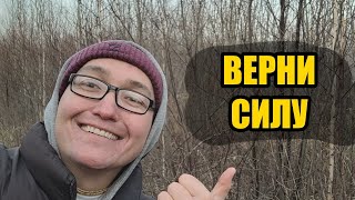Убей сахар — верни тестостерон и силу мужчины