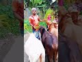 গরু #foryou #cow #cows #animals #natural #shorts #viral #viralvideo #video #funny #guru #garu #short