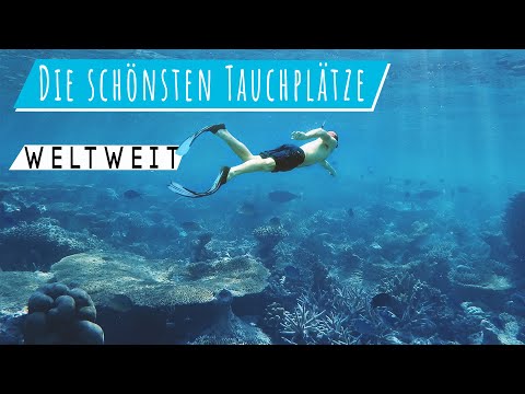 Video: Die Besten Freiwilligen-Möglichkeiten Für Taucher Weltweit - Matador Network