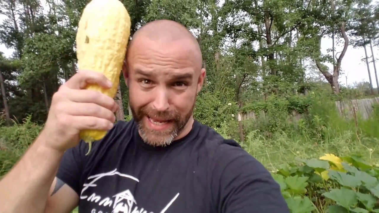 Reasons Why You Should Raise Your Own Rabbits! 